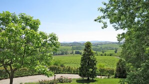 Un paisaje verde exuberante con vistas despejadas a colinas ondulantes y un jardín bien cuidado con una gran variedad de plantas y un pequeño árbol.