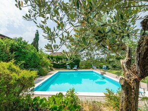 Una piscina rectangular envoltada de vegetació abundant i arbres.