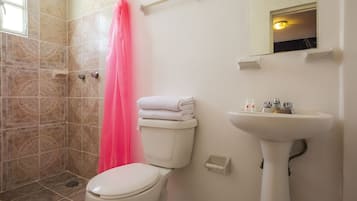 Un baño con inodoro, lavamanos y zona de ducha.