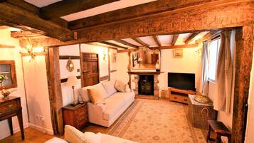 TV connectée, cheminée, lecteur de DVD, vidéothÚque