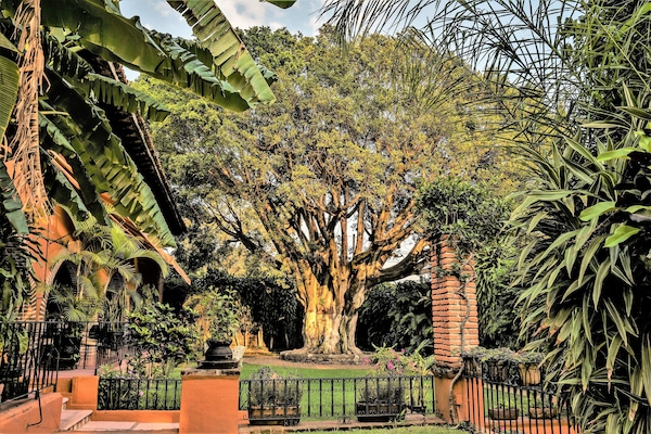 Jardín