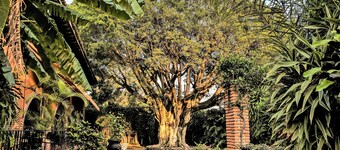 Hotel Posada San Angelo