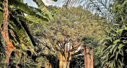 Hotel Posada San Angelo