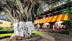 Un grand arbre dont le tronc est peint en blanc, entouré d’un chemin bordé de briques et de parterres de fleurs. Au fond, on aperçoit un bâtiment avec un auvent rayé et une terrasse aménagée avec des tables et des chaises.
