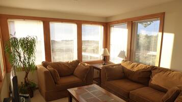 Smart TV, fireplace, DVD player, books