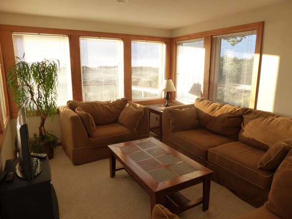 Smart TV, fireplace, DVD player, books