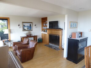 Smart TV, fireplace, DVD player, books