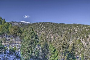 Paisagem montanhosa com floresta densa e pico nevado.