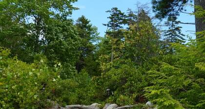 Dog-Friendly Pond Retreat- Hike, Swim Relax, Repeat!