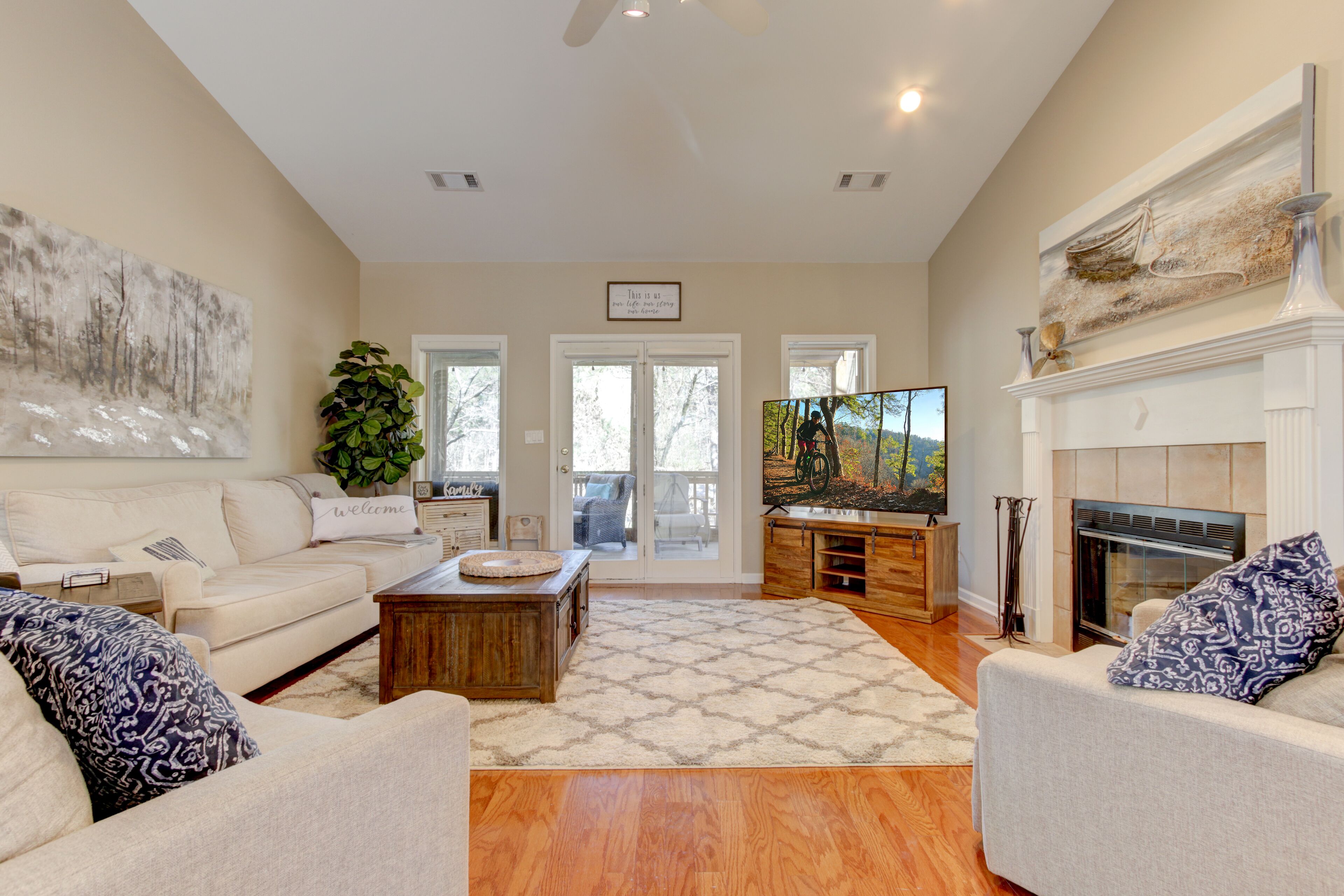 Smart TV, chimenea, reproductor de DVD y libros 