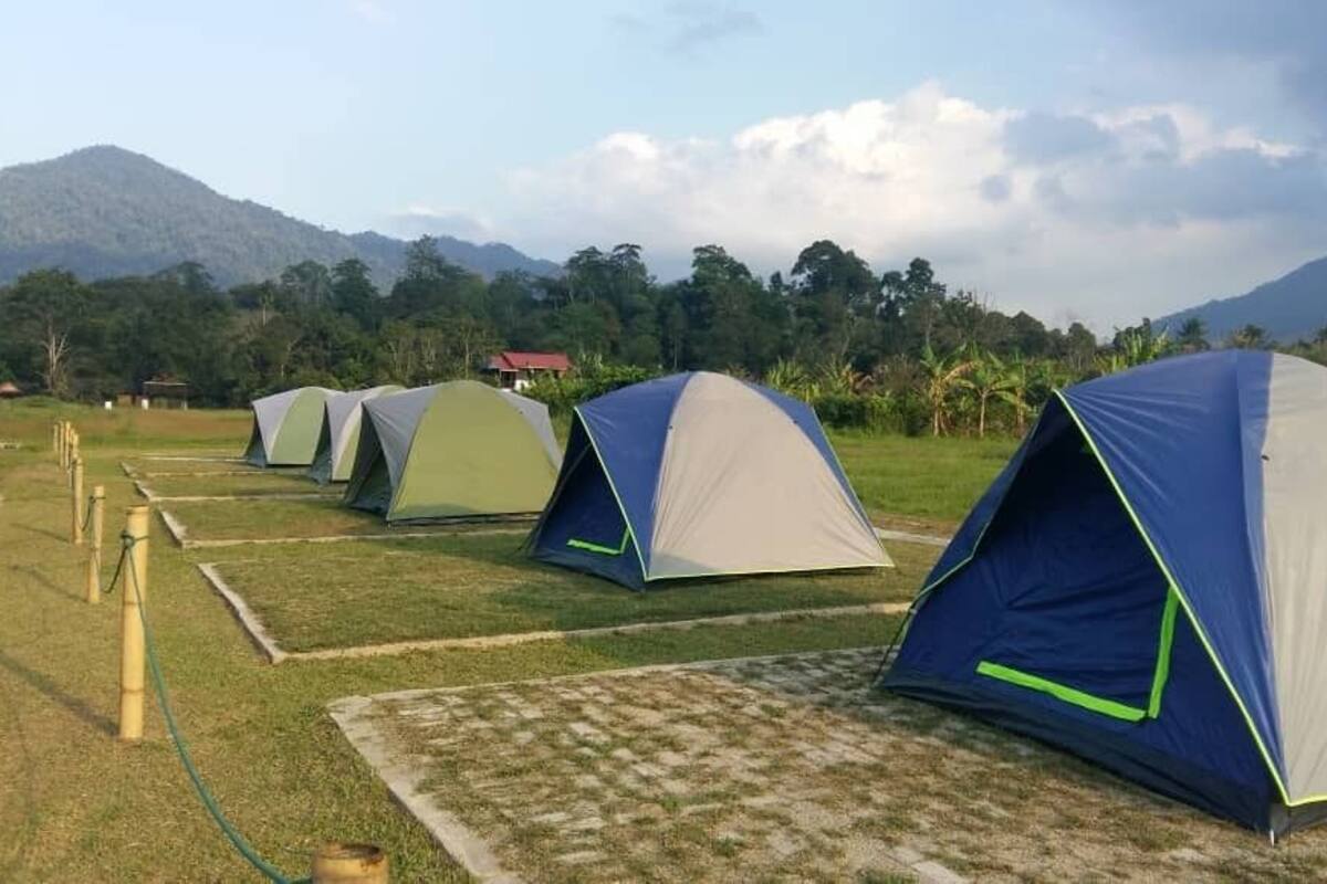 A row of dome-shaped tents in a campsite with a mountainous backdrop.