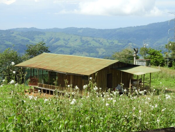 Exterior - Cabin with an incredible forest view (Platanillo)