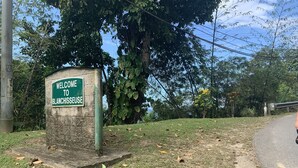 Placa de boas-vindas à Blanchisserie, com base de pedra e fundo verde.