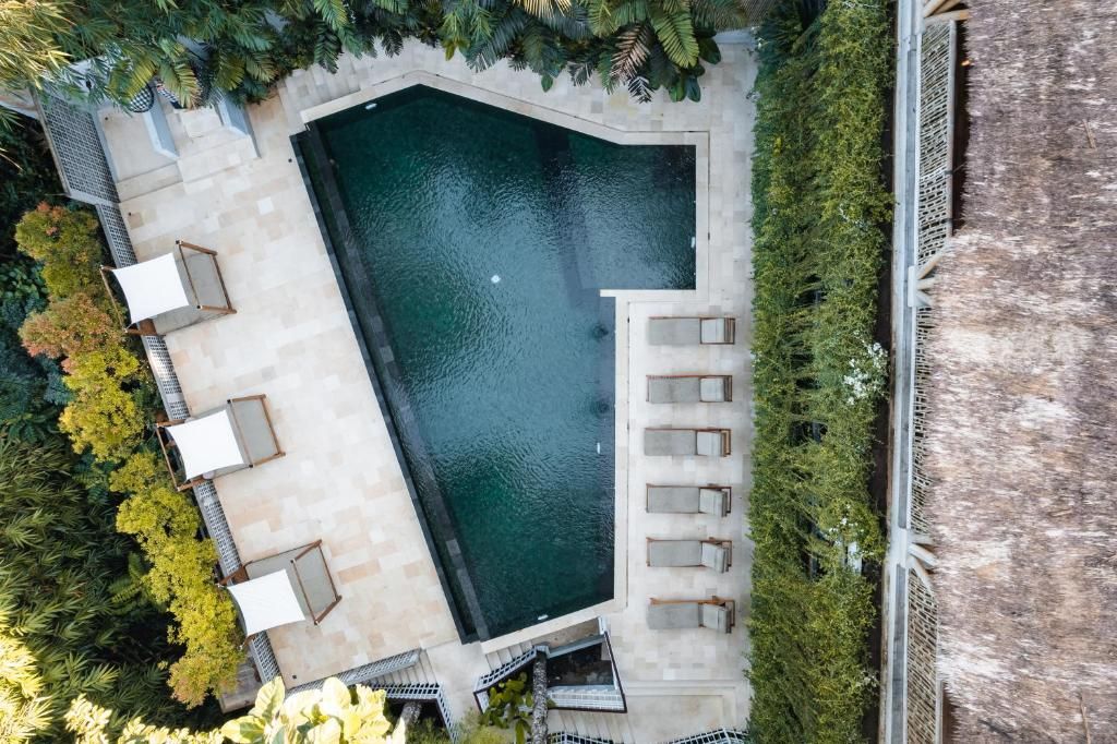 An aerial view of a swimming pool with adjacent lounge chairs and a surrounding garden.