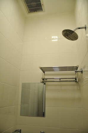 Shower, hair dryer, slippers, bidet