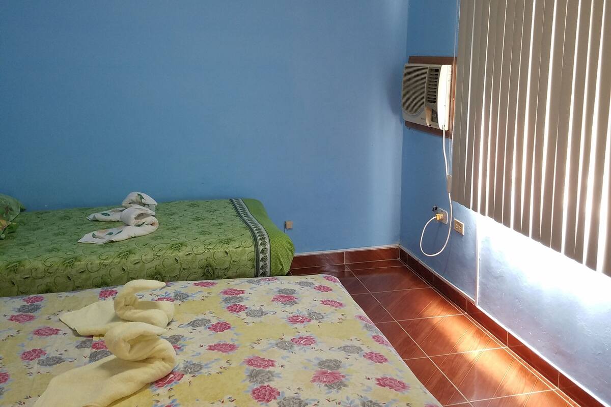 Exclusieve Twin kamer | Een minibar, een kluis op de kamer, individueel gedecoreerd