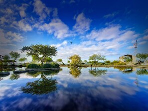 Lago