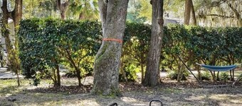 Spacious house just minutes from the beach and downtown