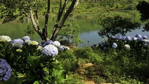 Garden - Fairyland resort (Xuan Huong - Da Lat)