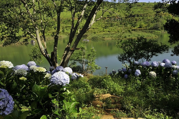 Jardín