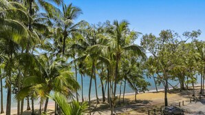 Une plage avec des palmiers et une voiture garée.