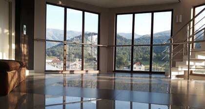 Bakuriani Hotel Melisi