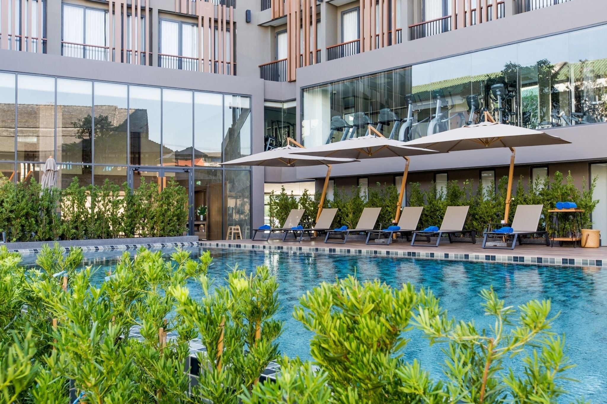 야외 수영장, 07:00 ~ 20:00 오픈, 수영장 파라솔, 일광욕 의자