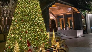A large illuminated Christmas tree in front of a hotel with a modern architectural design. - The Teak Hotel (Mae Sot)