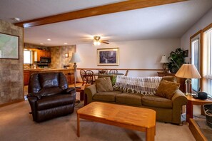 Fireplace, DVD player