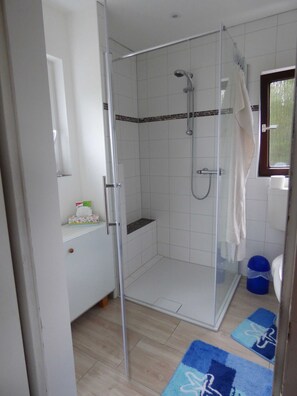 Shower, hair dryer, soap, toilet paper