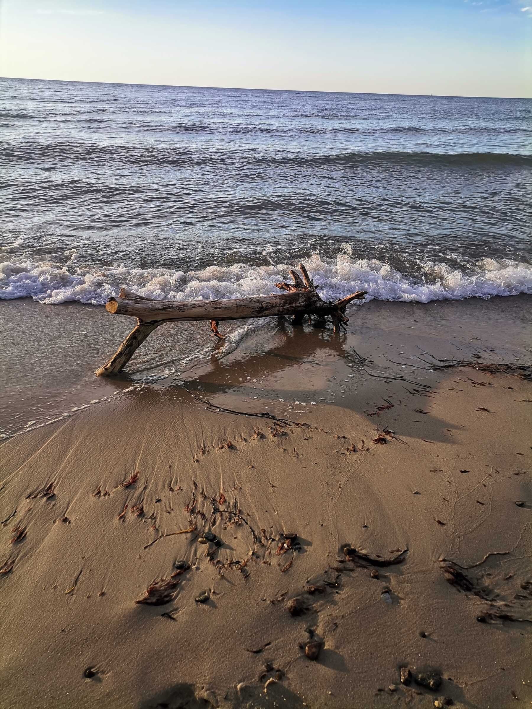 En drivtømmer på en strand med bølger i baggrunden.