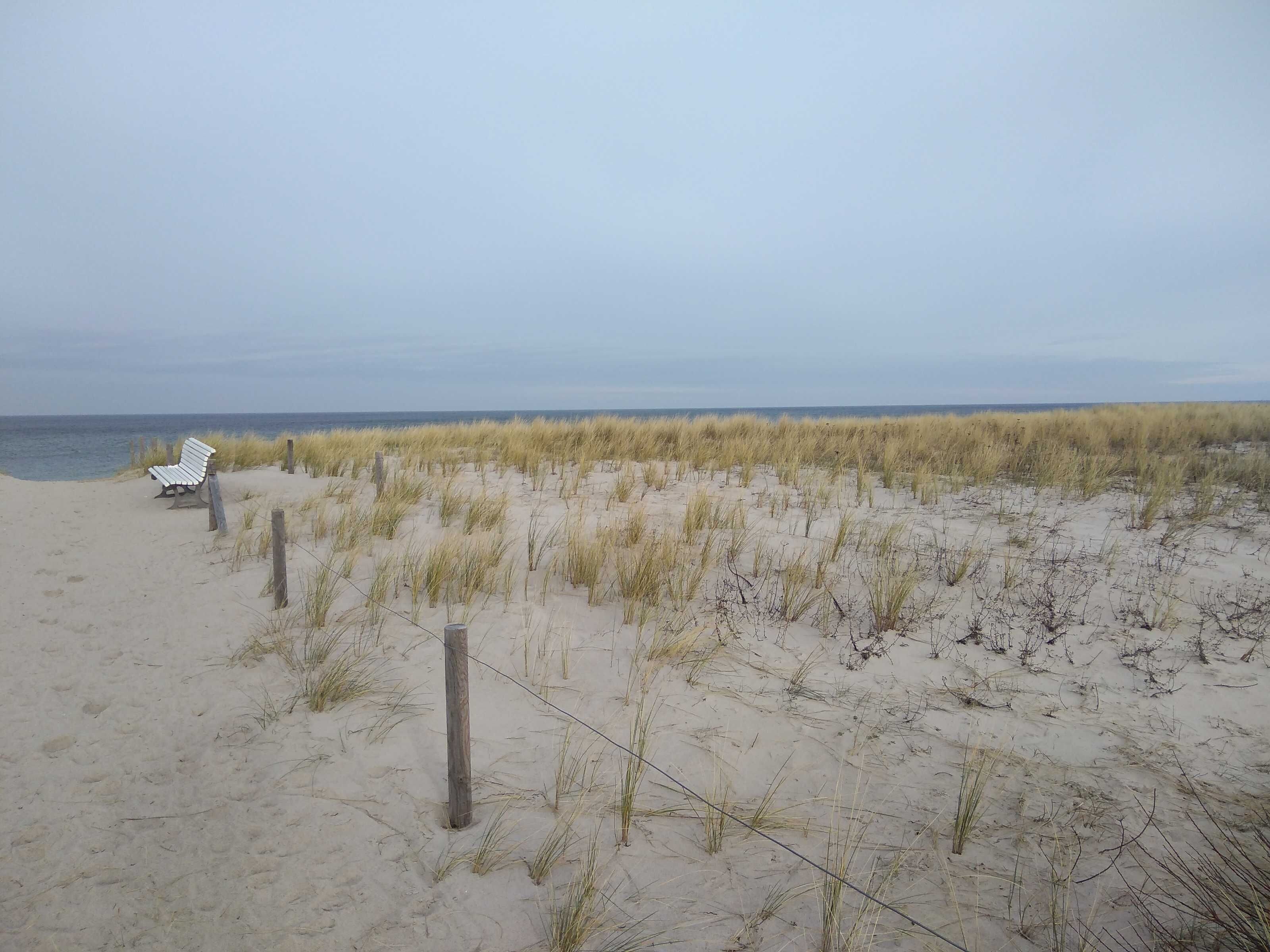 Ein Strand mit einer weißen Bank, sandigen Dünen und einem Zaun.