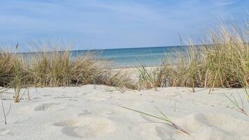 A sandy beach with tall grasses in the foreground and a clear blue sky.
