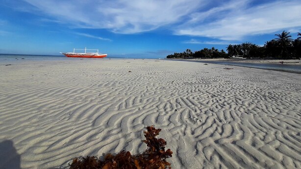 A sandy beach with a boat in the distance and palm trees on the shore. - Saint John Beach House (Santa Fe)
