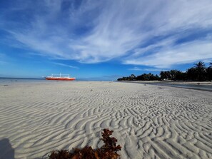 Una playa arenosa con un barco a lo lejos y palmeras en la orilla.