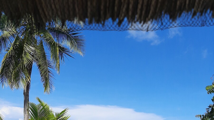 Saint John Beach House