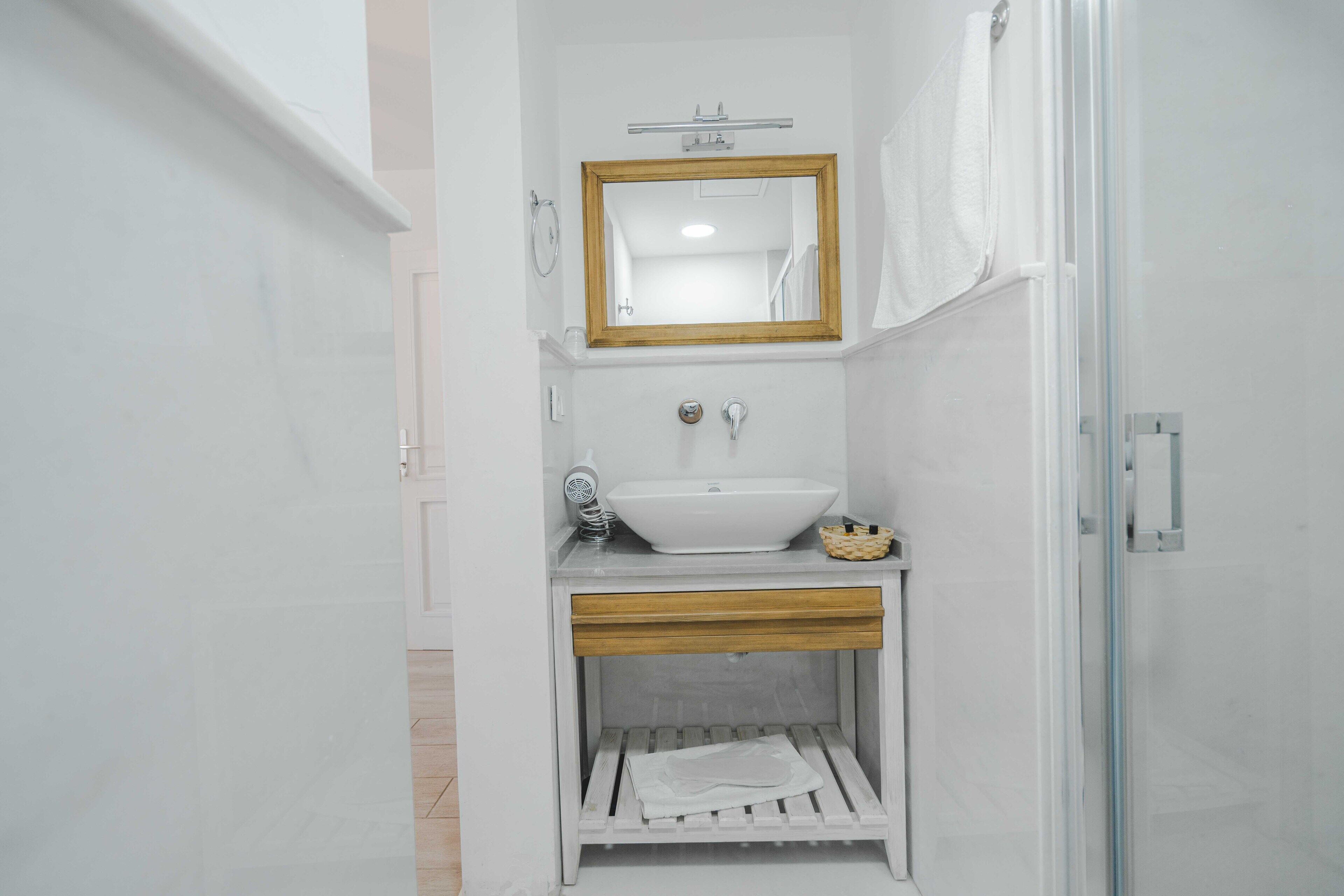 deluxe double room | bathroom | shower, free toiletries, hair dryer, bathrobes