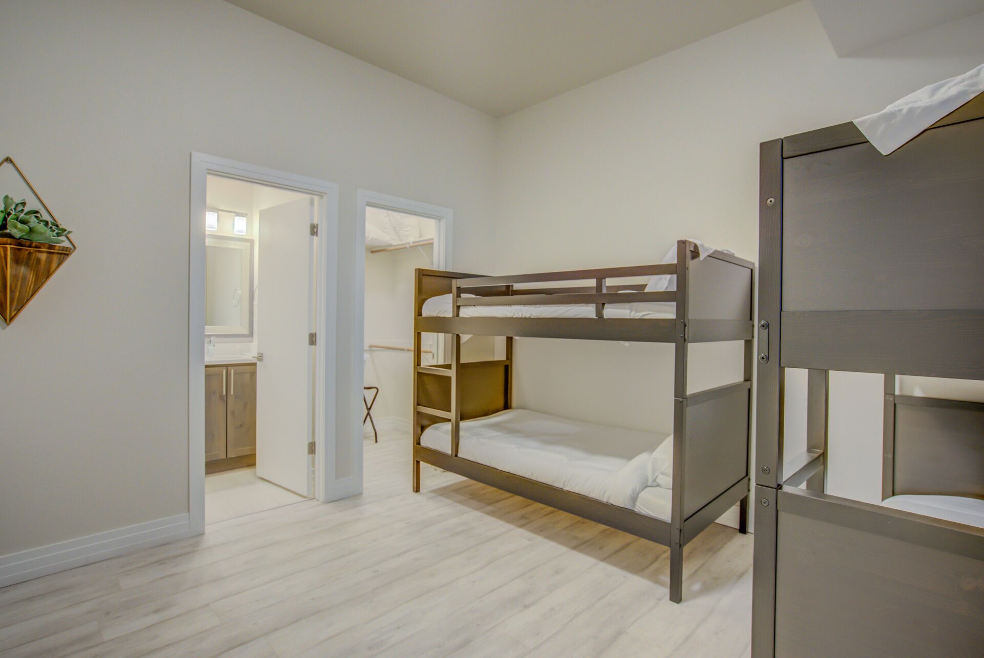 A bunk bed room with a wooden floor, a white door, and a small plant on the wall.