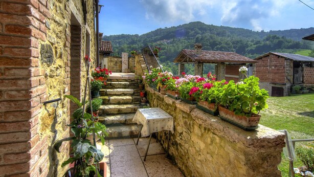 Una escalera de piedra que lleva a una terraza con plantas en macetas y una mesa.