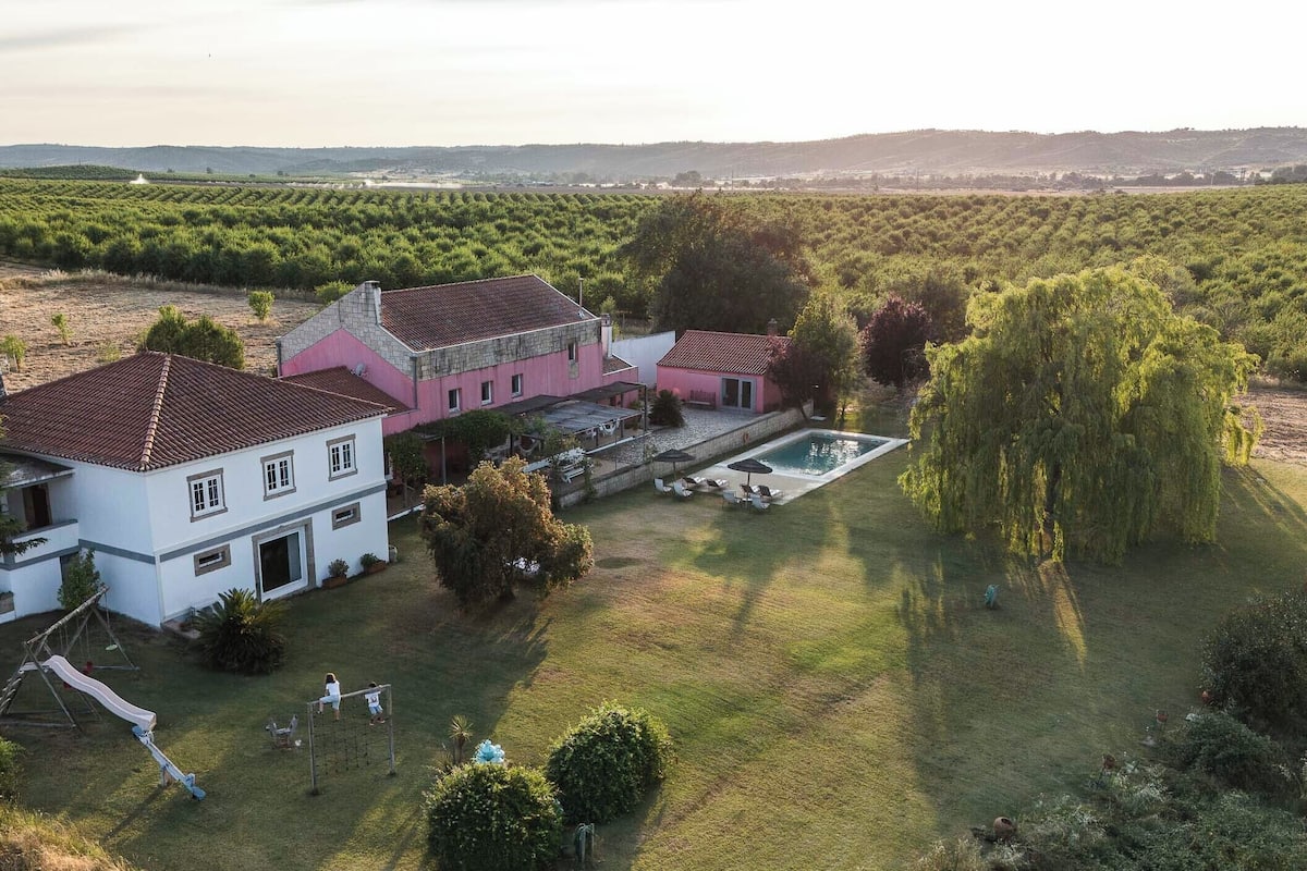 Une grande maison avec une piscine, entourée d’une pelouse bien entretenue et, au loin, d’un vignoble.
