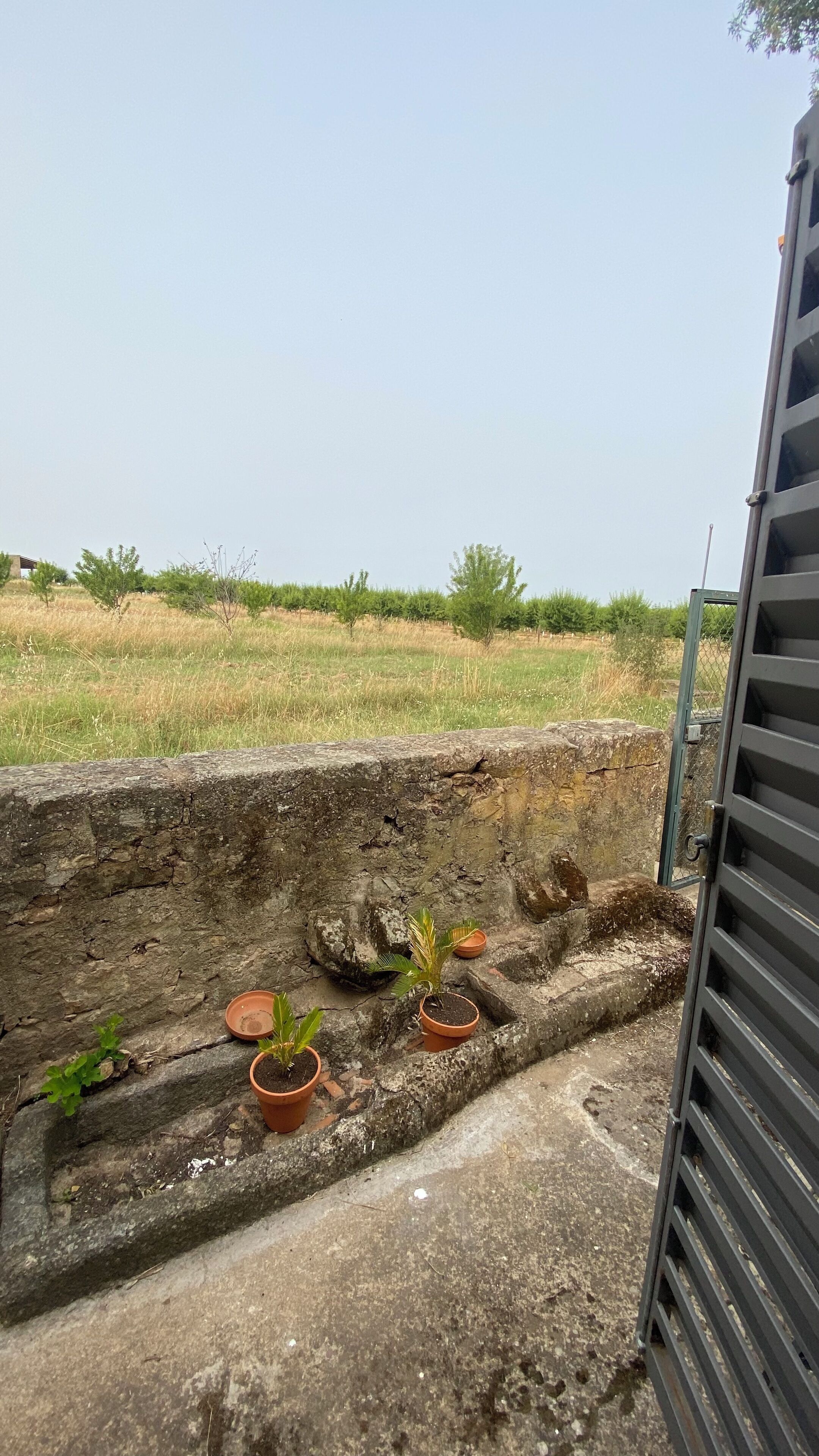 Une bordure en béton sur laquelle sont posés des pots en terre cuite contenant des plantes.