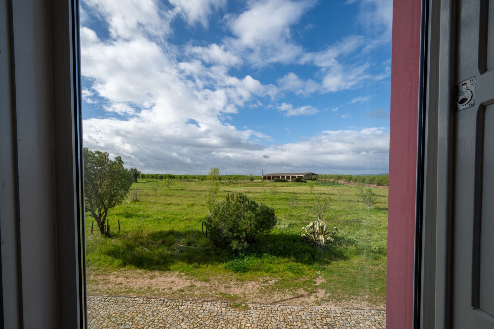 Vista desde el interior de un edificio hacia un campo cubierto de césped, con otro edificio a lo lejos y un cielo despejado.