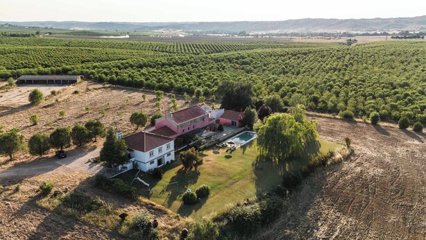 A large house with a swimming pool, surrounded by a vineyard and a dry field.
