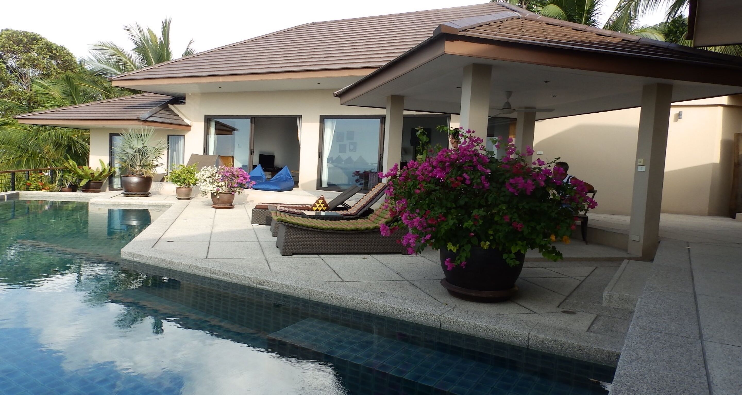 A modern house with a swimming pool, outdoor seating, and potted plants.
