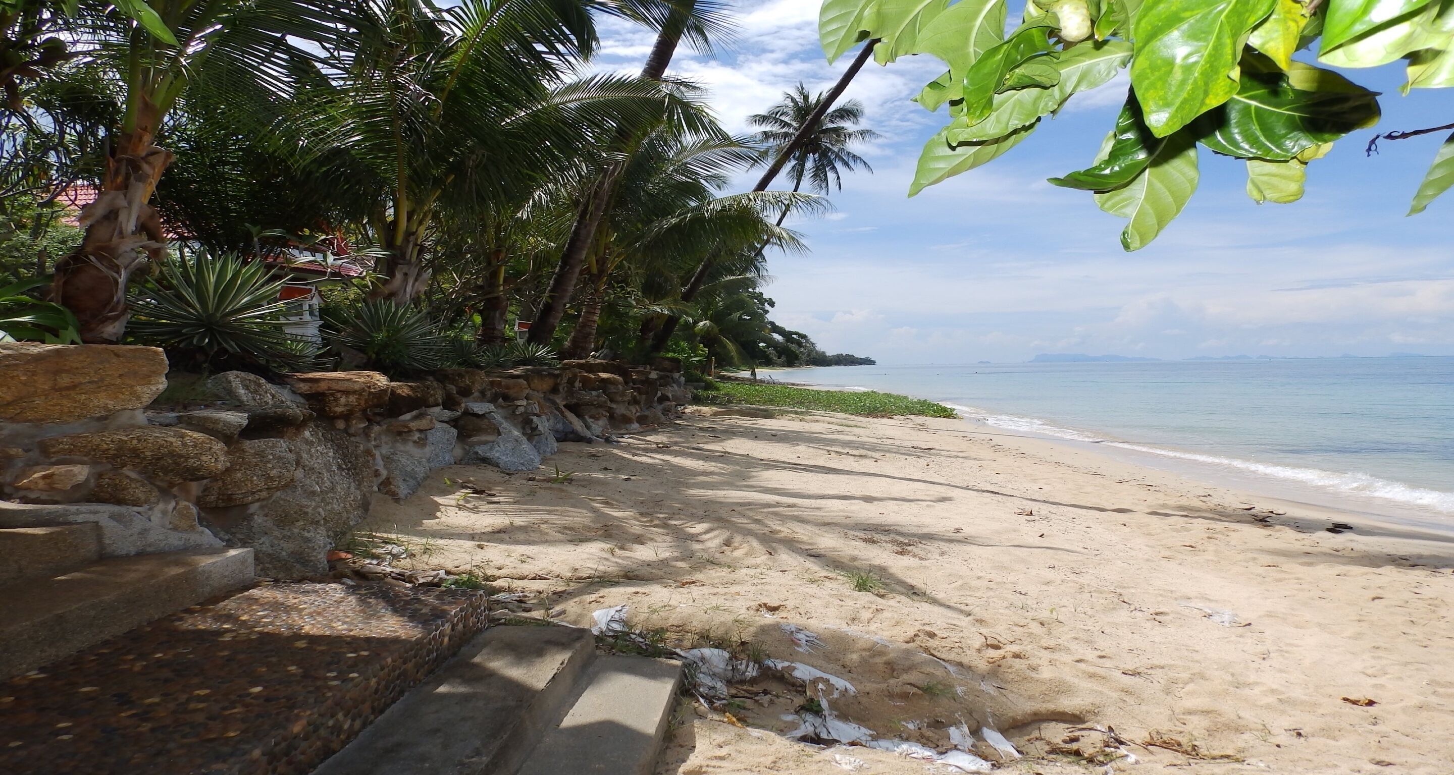 Una playa con un muro de piedra y palmeras.