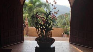 Chi tiết nội thất