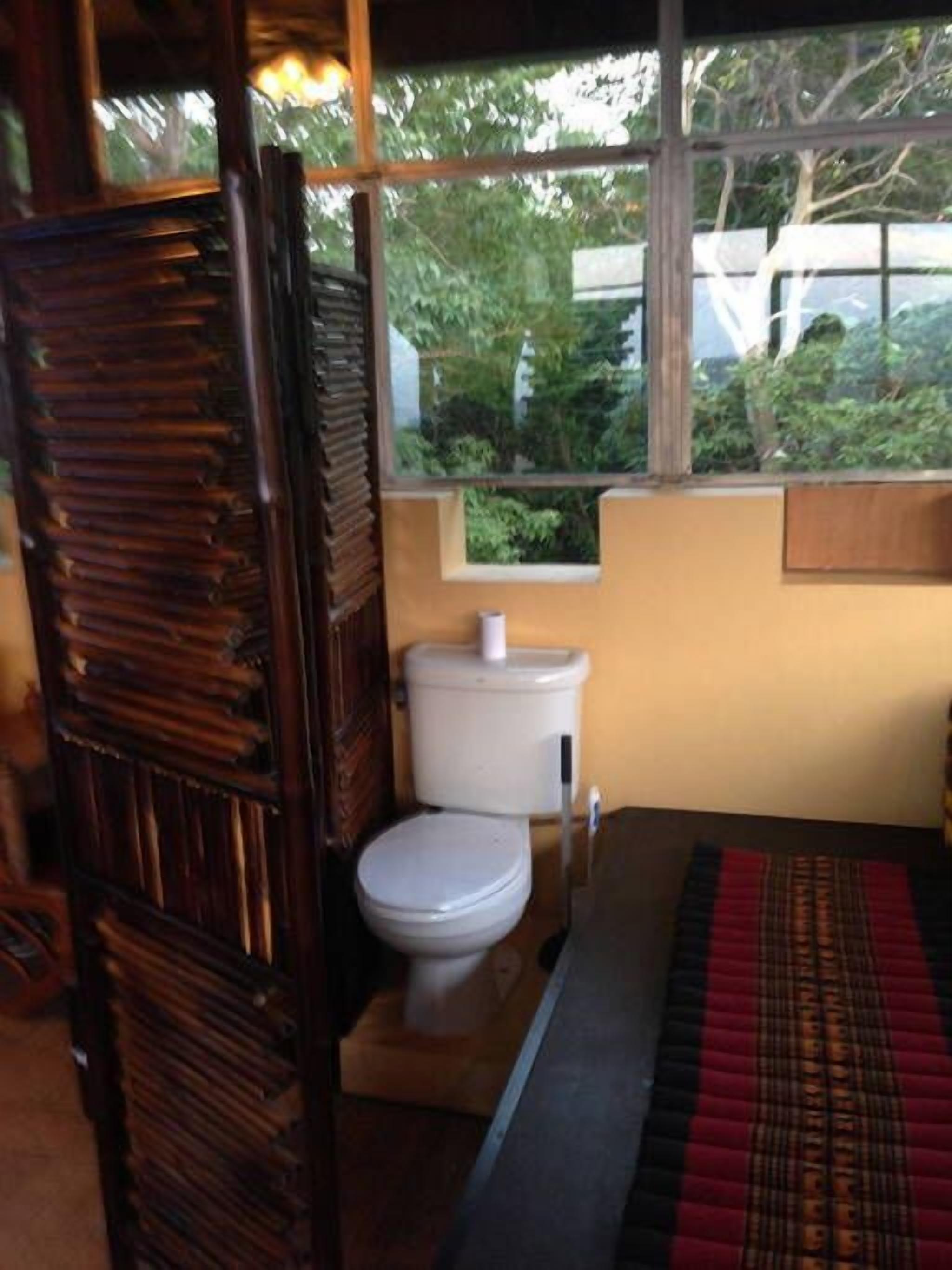A bathroom with a toilet, a window with a view of greenery, and a wooden door.