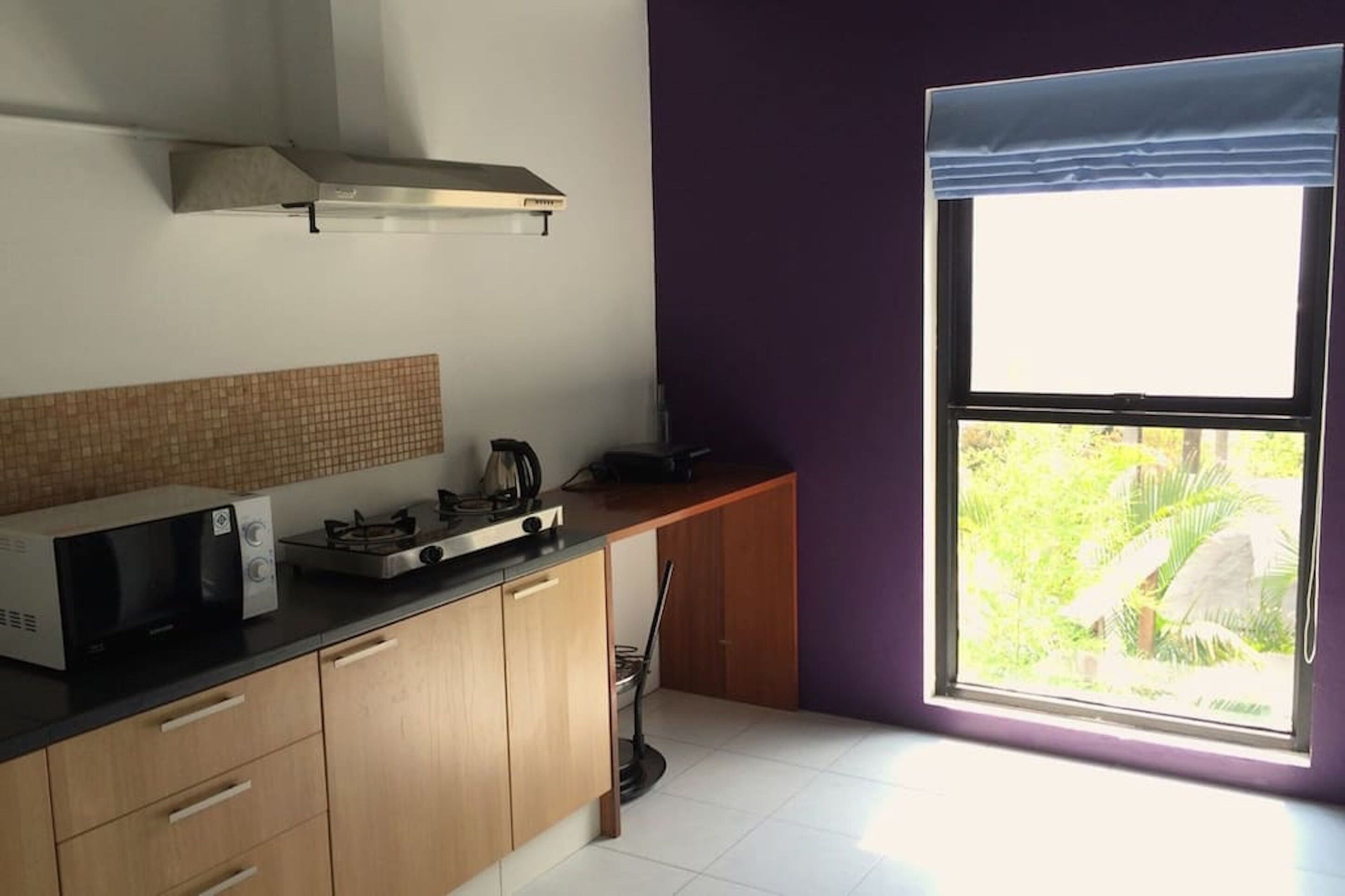 A kitchen with a microwave, stove, and gas stove. There is a window with a view of greenery outside.