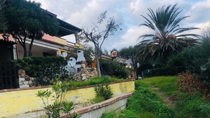 A residential area with a yellow wall, a stone wall, and a concrete path. There are trees and a palm tree in the background.