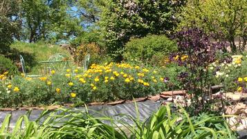 Área da propriedade